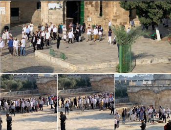 Plus de 754 colons juifs défilent la mosquée d’Al-Aqsa