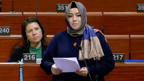 Milletvekili Sena Nur Çelik Kanat, AKPM'de uluslararası topluma çağrı yaptı 