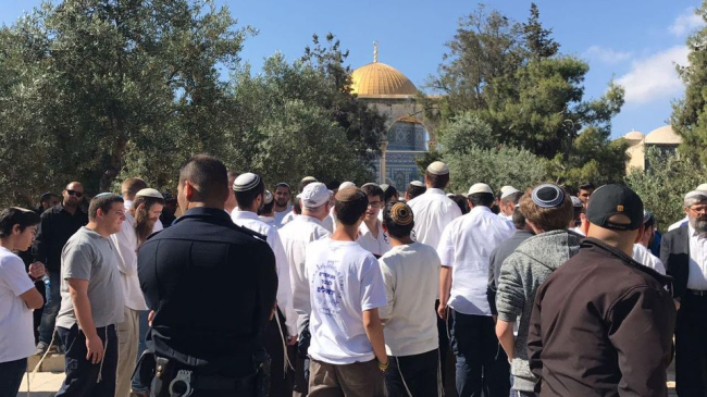 Des colons envahissent la mosquée d’Al-Aqsa