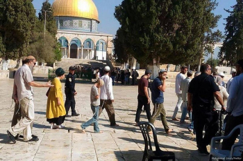 Des dizaines de colons prennent d'assaut la mosquée Al-Aqsa