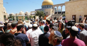 Scores of settlers defile Aqsa Mosque